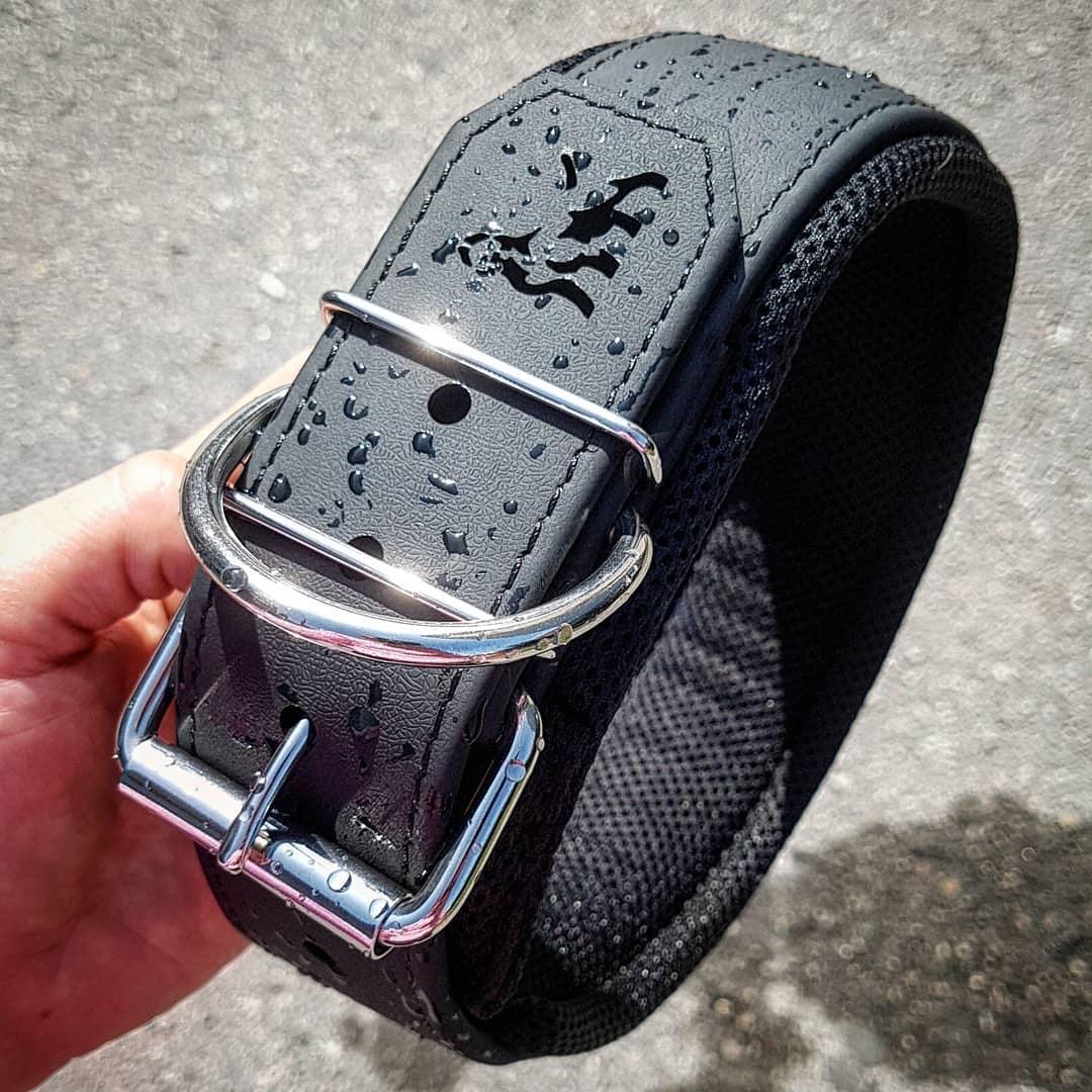 Collars/Leads/Harness/Muzzles