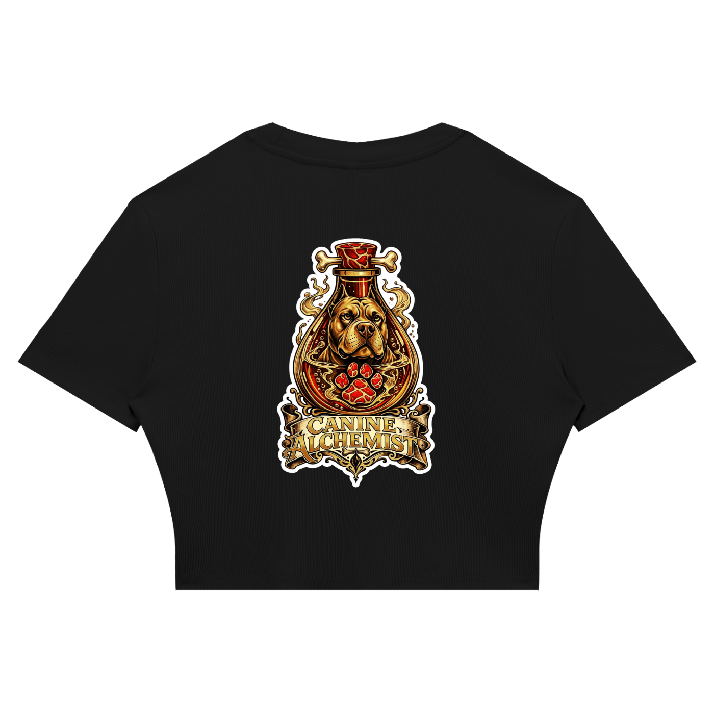 Women's Slim Ribbed Crop T-Shirt