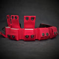Weighted dog training collar- Red. Large breeds. 5 lbs total. removable weights